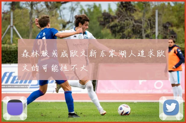 森林狼或成欧文新东家湖人追求欧文的可能性不大