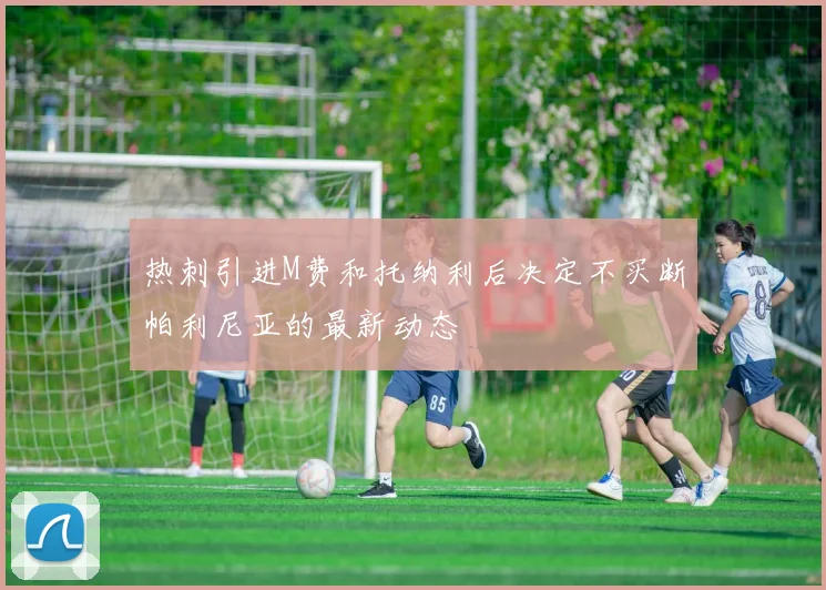 热刺引进M费和托纳利后决定不买断帕利尼亚的最新动态